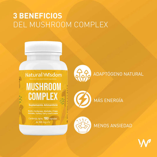 Mushroom Complex